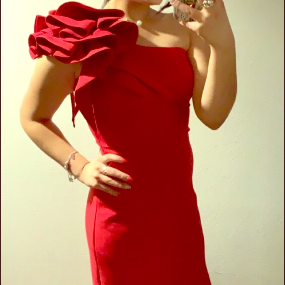 Ruby Red dress
